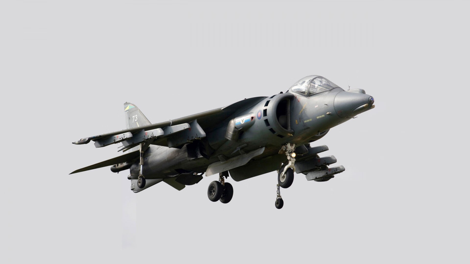 佩德里,一球一传,艺术家导演北欧风暴