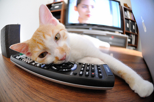 开云体育app-跨界观察，当NBA季后赛的战术绞杀遇上利物浦的节奏艺术—体育世界里的掌控力博弈